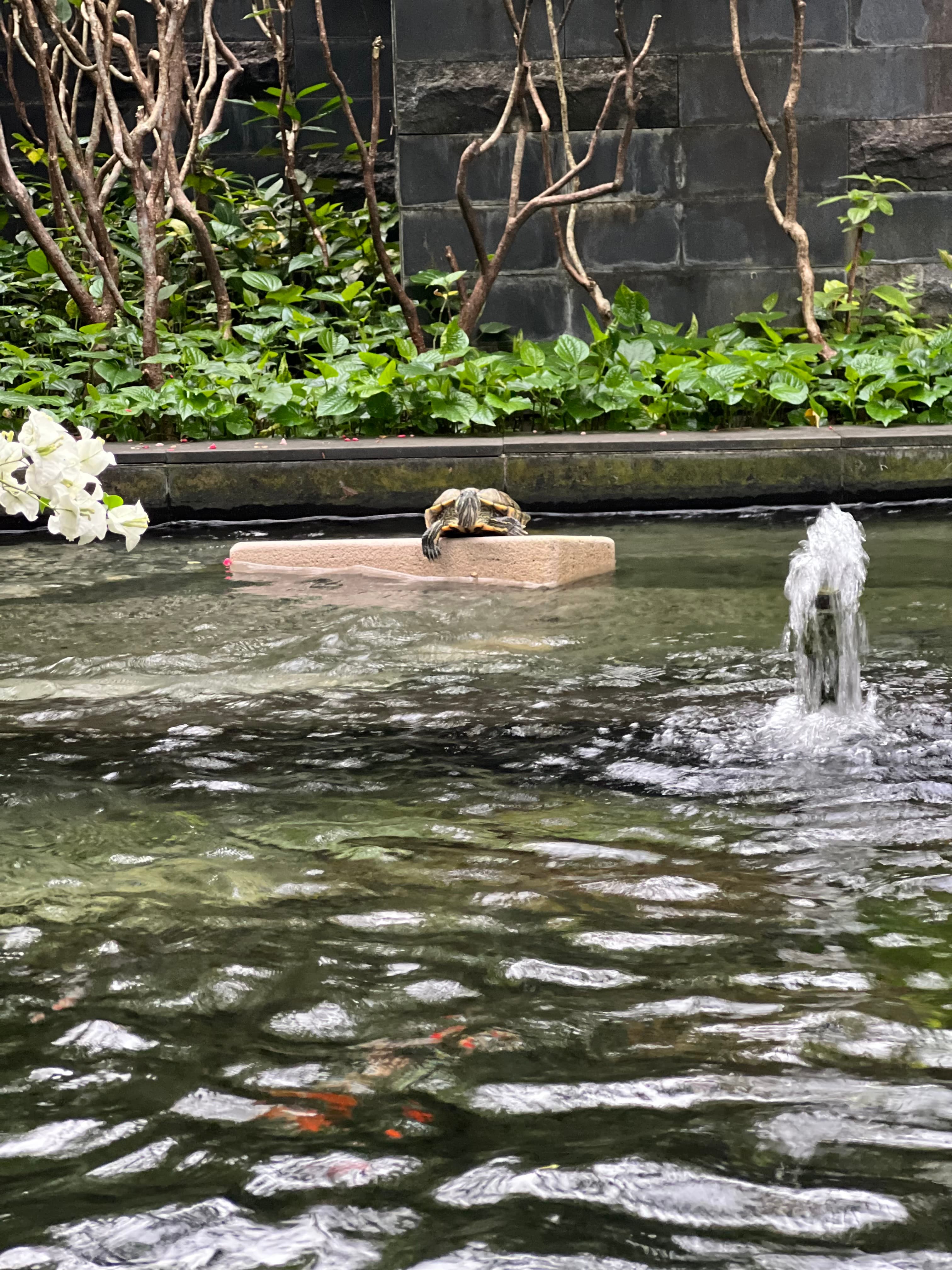 Plot available in prime location Tiruppur